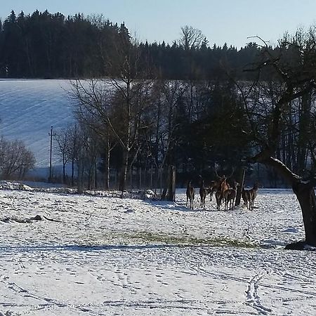 Pension Weinbauer Hofkirchen im Traunkreis Bagian luar foto