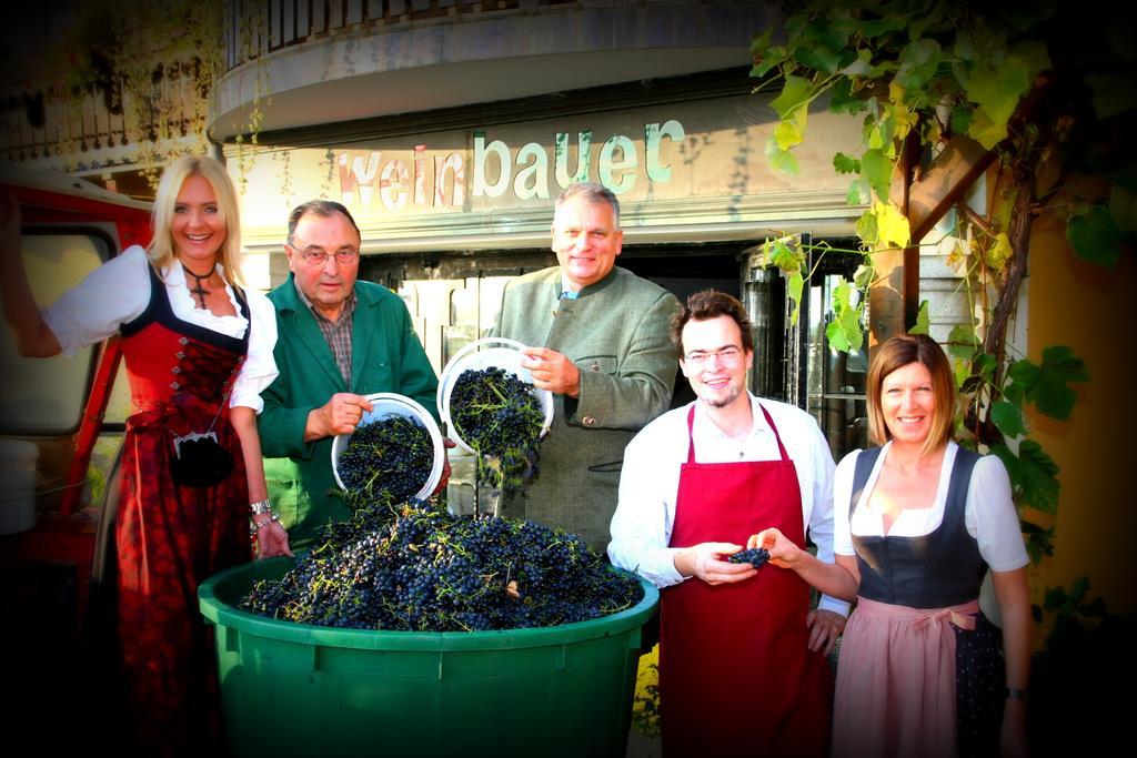 Pension Weinbauer Hofkirchen im Traunkreis Bagian luar foto
