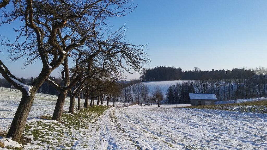 Pension Weinbauer Hofkirchen im Traunkreis Bagian luar foto